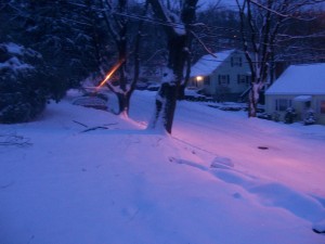 SNowfall at Dusk