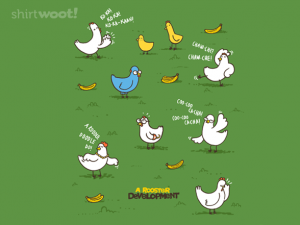 Woot Shirt, A Rooster Development